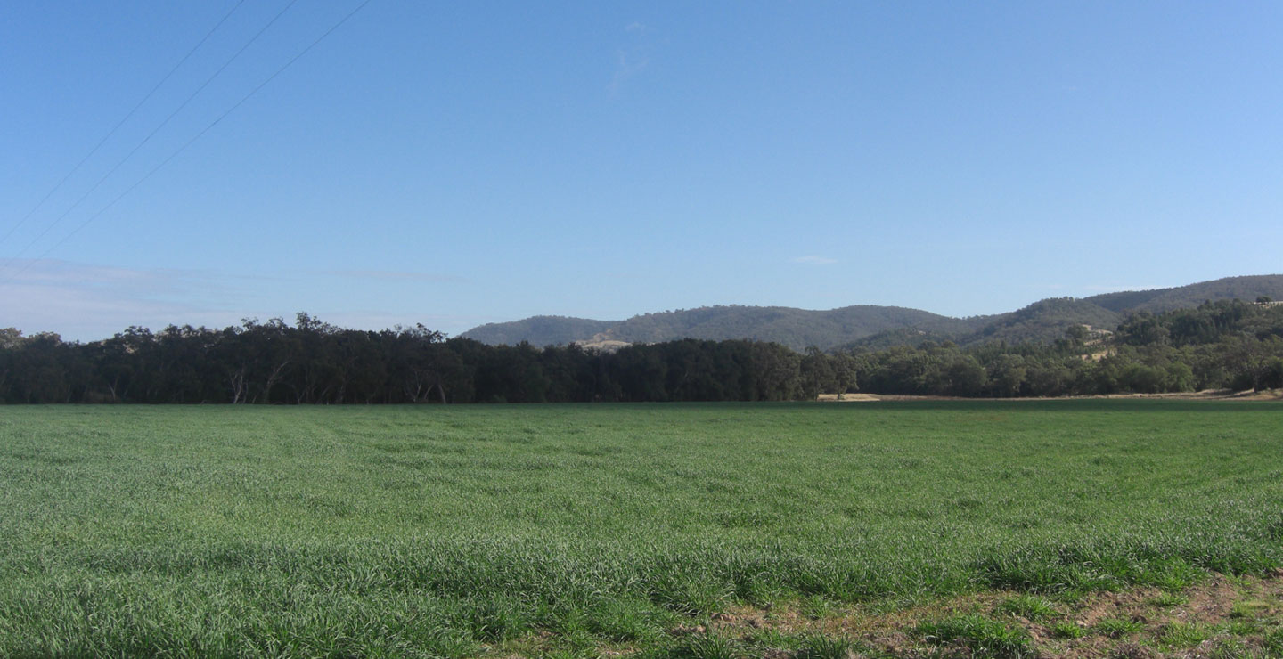 ジブラルタ牧場