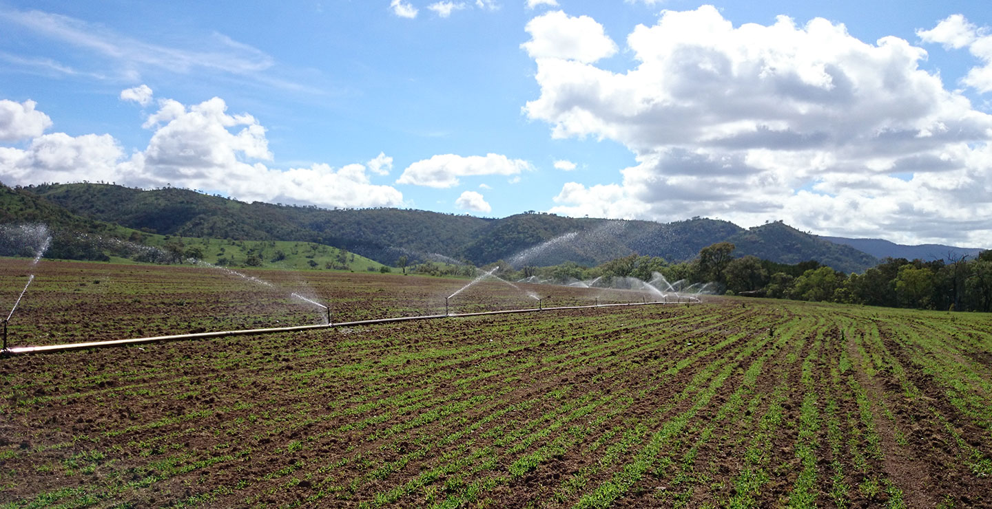 ジブラルタ牧場