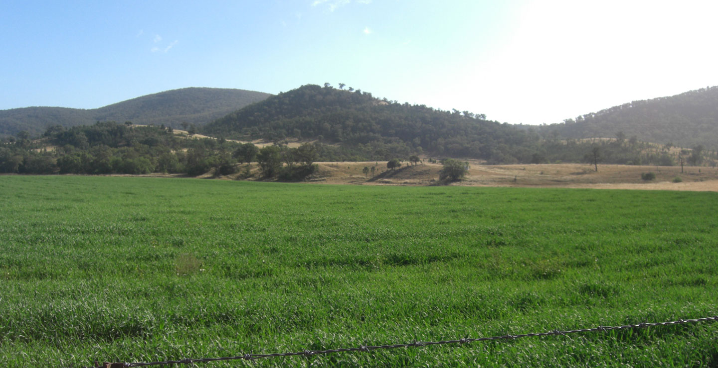 ジブラルタ牧場