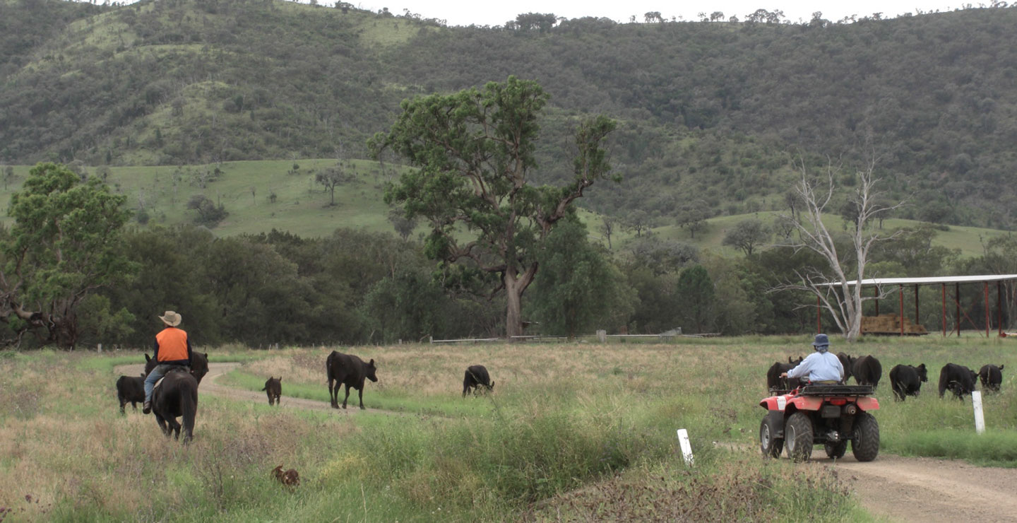 ジブラルタ牧場