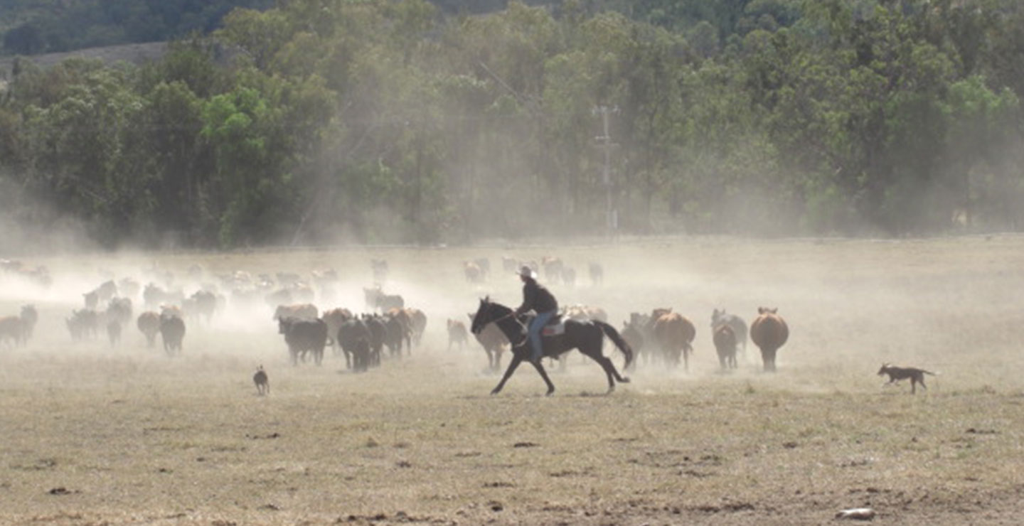 ジブラルタ牧場