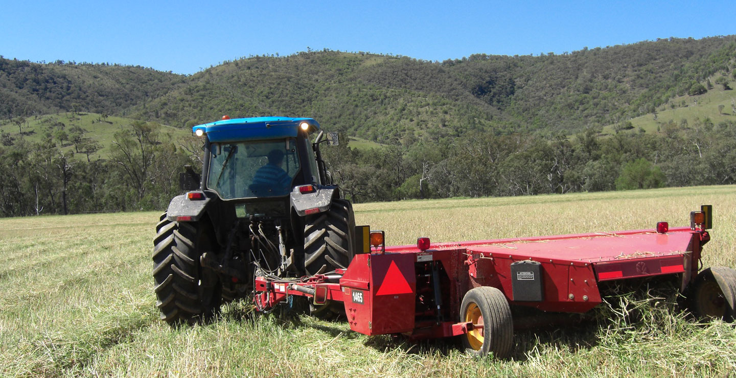ジブラルタ牧場