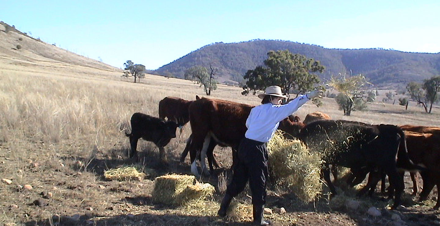 ジブラルタ牧場