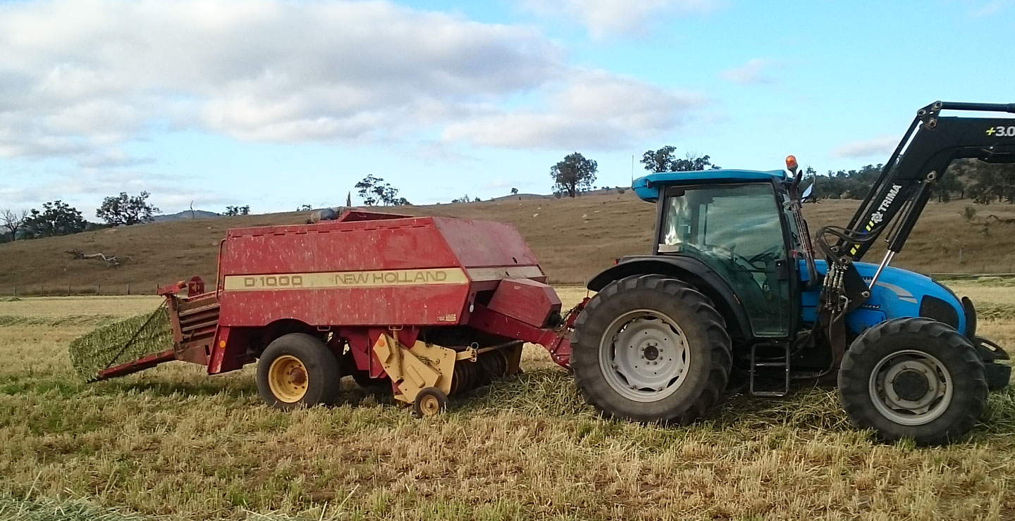 ジブラルタ牧場