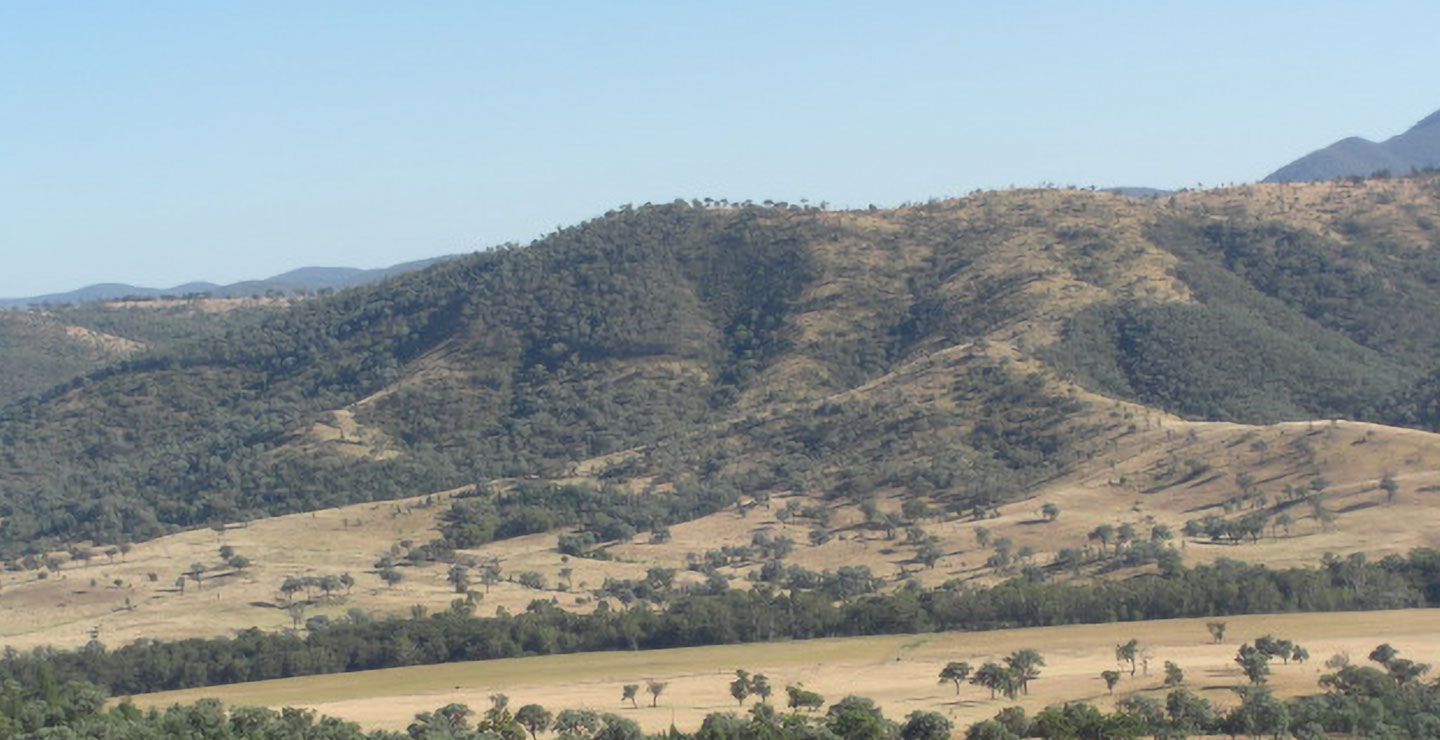 ジブラルタ牧場